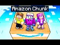 Surviving on ONE AMAZON Chunk in Minecraft!