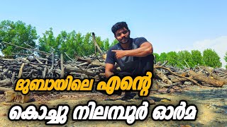 ഇതൊക്കെ കാണുമ്പോൾ നിലമ്പൂരിലെ ഓർമ്മകൾ ഓടി വരും #minivlog