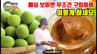 당뇨 고혈압에 좋은 설탕없는 매실청 비법