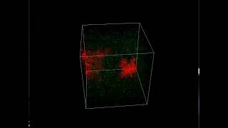 Diffusion Limited Aggregation (Full)
