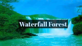 Waterfall 🌴Forest 4k🌳 Nature 🌴Relaxation🌲 FilM Relaxing Music #waterfall #forest #relaxingvideo