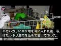 【スカッとする話】嫁いびりが大好きな姑と私を見下す亭主関白夫「早く帰ってきて家事やれよw」私「は？私たち離婚したじゃんw」→元夫の大きな勘違いに腹筋崩壊www【修羅場】