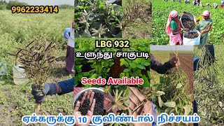 LBG 932 உளுந்து சாகுபடி | ஏக்கருக்கு 10 குவிண்டால் நிச்சயம் | LBG 932 Seeds Available | Tamil