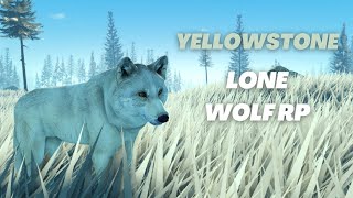 LONE WOLF STORY RP 🐺 - Yellowstone Unleashed Roblox