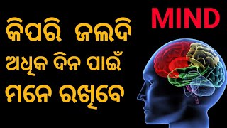 କିପରି ବହୁତ୍ ଜଲଦି ମନେ ରଖିବେ ପଢିଲା ବେଳେ |Learn Faster Anything in Studies in Odia Language |