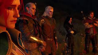 The witcher 3 #25 Wild hunt FINAL