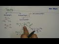 homotopic enantiotopic diastereotopic topicity nmr pgtrb trb chemistry