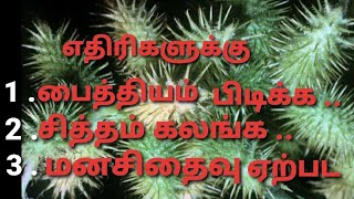 எதிரிக்கு பைத்தியம் பிடிக்க : மன சிதைவு  நோய் ஏற்பட: சித்தம் கலங்க : மை பிரயோகம்