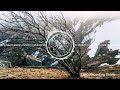 TrackTribe - No Mercy (No Copyright Music)