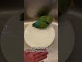 lovebird bathing in my sink parrots lovebirds birds pets pet trending dinosaur