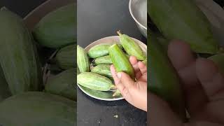 #bengali traditional potol er dorma recipe#trending recipe #ytshorts#shorts