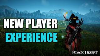 First 500 Hours In Black Desert Online