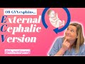 ECV! Flip the baby! OBGYN explains External Cephalic Version to turn babies from breech to cephalic