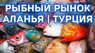 Рыбный рынок в Алании. Цены на морские продукты Алания. Рыбный ресторан в Алании Турция