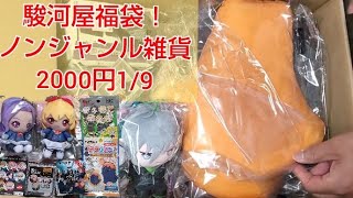 駿河屋福袋！ノンジャンル雑貨2000円1/9