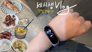 Vlog | 31W 임산부 세시생 | 잘 먹고, 공부만 열심히 하면 되는데 그게 힘들어