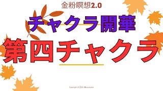 チャクラ開華4日目_20250228