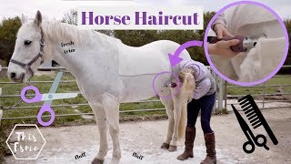 HORSE HAIRCUT | Clipping my horse MYSELF for the first time... | This Esme