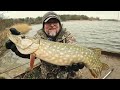 north east pike fishing qe2 ashington northumberland pb pike.