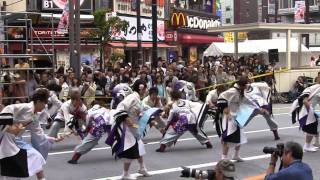 東京花火(早稲田大学・東京よさこい2011・アゼリア通り)