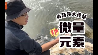 内陆纯淡水养殖南美白对虾，水体“钙镁钾”的比例应该如何添加？