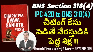 Punishment for cheating  #bns318  #bnssection318 #bns #law #ipc420vsbns318 #teluguvlogs #telugu #ipc