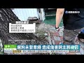 狗沒繫牽繩追咬害人跌傷 飼主判賠 華視新聞 20200619