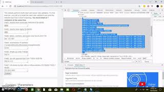 [Security] Bypass Client Side Javascript Validation over Webgoat