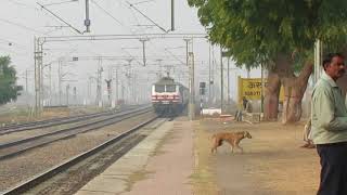 19024 Firozpur - Mumbai janta express speeds at mps