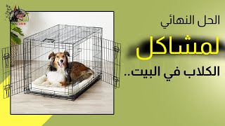 الحل النهائي لمشاكل الكلاب في البيت