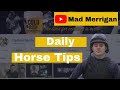 Punchestown Day 3 Tips | Mad Merrigan