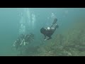 scuba dive in netrani island murdeswara scubadiving scubainkarnataka underwater honnavara