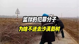 为什么各种犯罪分子不送去沙漠栽树而要放在监狱消耗公共资源？