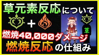 燃焼反応の仕組みを徹底解説！【原神】草元素反応、元素熟知とキャラレベルGenshinImpactげんしんスメール初心者向けVer2.8万葉復刻拡散くさ激化開花草主人公草神クラクサナリデビ白朮鹿野院平蔵