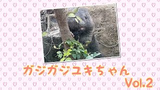 【wombat】ガジガジユキちゃん Vol.2☆(Biting a tree)