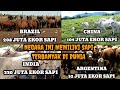 5+ NEGARA DENGAN JUMLAH POPULASI SAPI TERBANYAK DI DUNIA || SIAPA NOMOR 1?