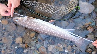 【撮影後に60up】アメマス釣りの裏側だよ（北海道・道南渓流）