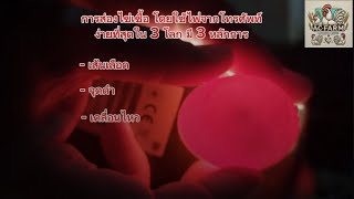 การส่องไข่เชื้อ โดยใช้ไฟจากโทรศัพท์ ง่ายที่สุดใน 3 โลก