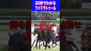 【桜花賞2024】30秒でわかるワイドラトゥール