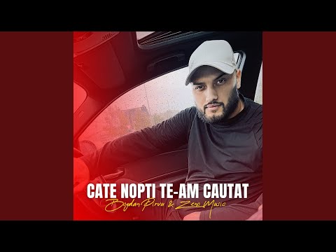 Download Bogdan Pirvu - Cate Nopti Te-am Cautat Mp3