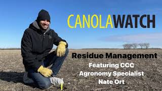 Canola Watch: Residue Management