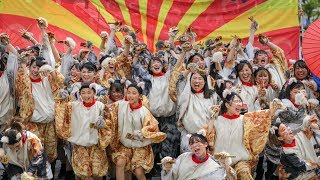 CHIよREN北天魁 ～ 東部審査会場・１回目 ～ 第18回 木更津舞尊 2019