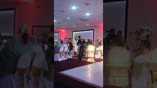 Pakistani Wedding Bride & Groom Entrance ft. Darius Electric Violinist #Shorts