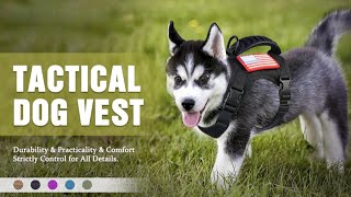 Tactical Small Dog/Cat Harness Puppy Vest with Rubber Handle for Outdoor Walking XS Dog Harness