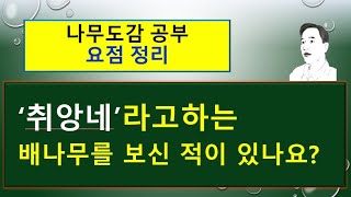 (요점 정리) 취앙네 vs 남해배나무 vs 산돌배의  서로 다른 차이점을 요점 정리하였습니다.