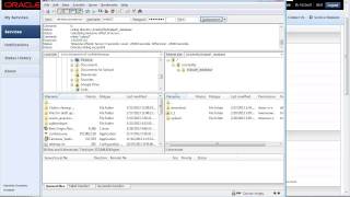 Export data from your Oracle Database Cloud Service