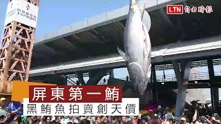 「屏東第一鮪」黑鮪魚拍賣創天價 每公斤8600元