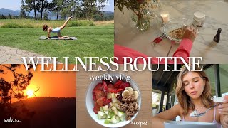 my wellness routine pt. 3