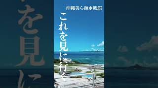 沖縄美ら海水族館のこの海と空を見に行く🌺