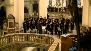 Insanae et vanae curae - Haydn